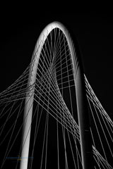 Lattice Collection