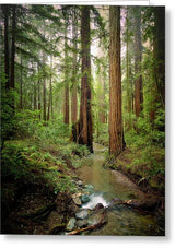 Columnas - Greeting Card