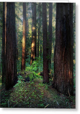 Truncus - Greeting Card