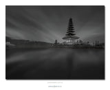 Contemplatio