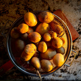 Potatoes &amp; Light