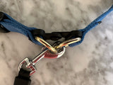 Breaking Bad: On Dog Collars