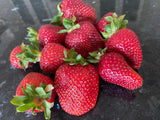 Thursdays in the Kitchen: Strawberry Rhubarb Shortcake