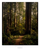 "I went to the woods . . .."
