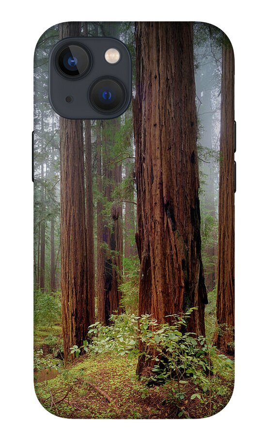 Calcis Lucem - Phone Case