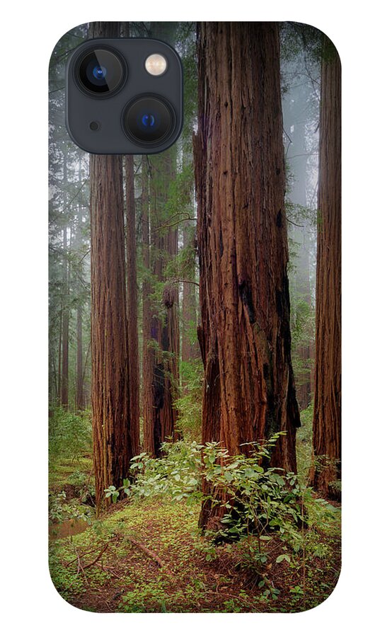 Calcis Lucem - Phone Case