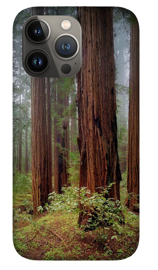 Calcis Lucem - Phone Case