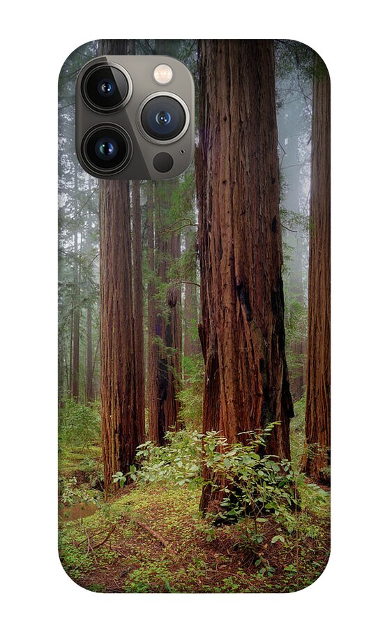 Calcis Lucem - Phone Case