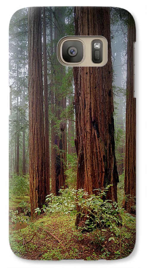 Calcis Lucem - Phone Case