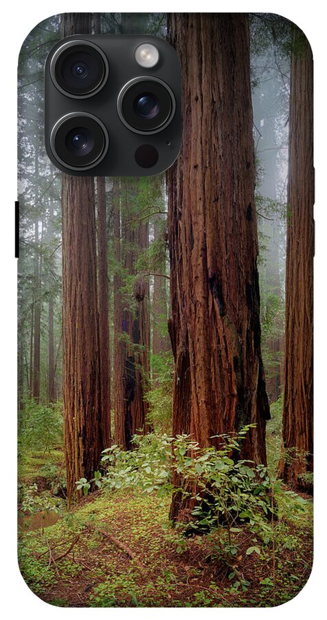 Calcis Lucem - Phone Case