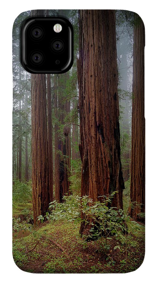 Calcis Lucem - Phone Case