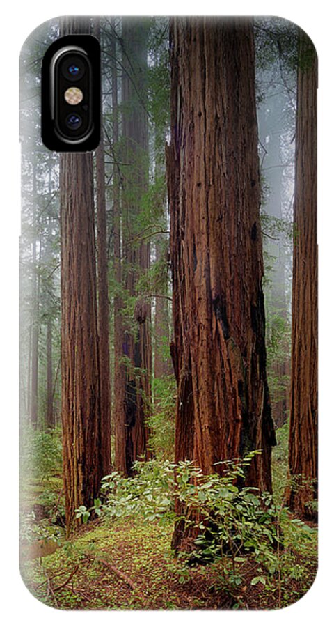 Calcis Lucem - Phone Case
