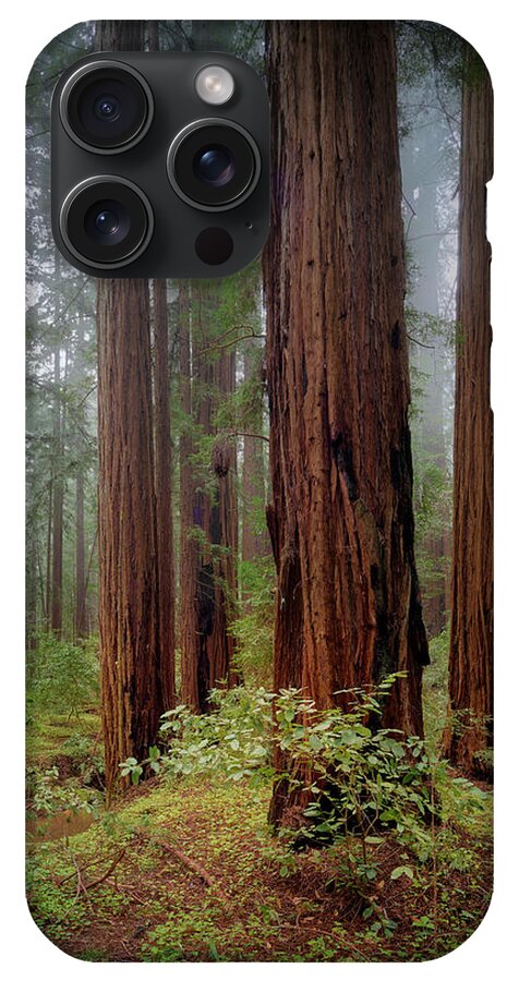 Calcis Lucem - Phone Case