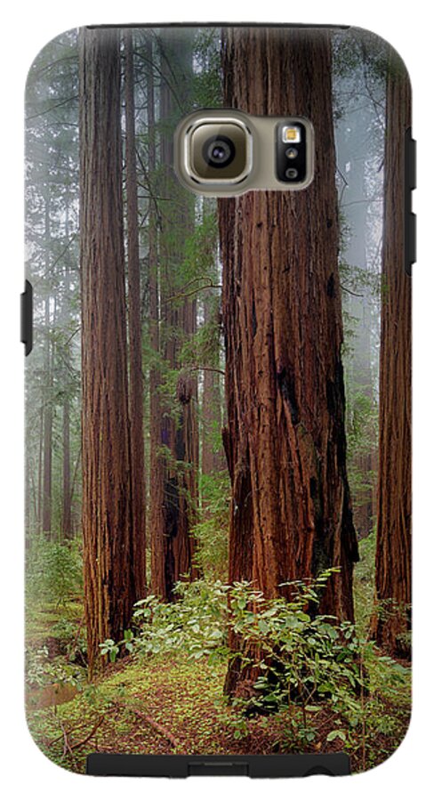 Calcis Lucem - Phone Case