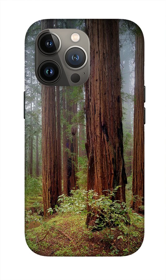 Calcis Lucem - Phone Case