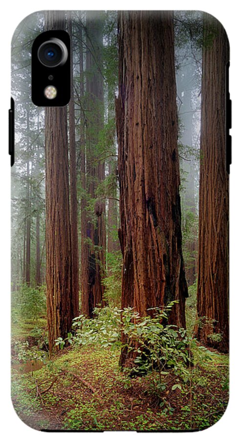 Calcis Lucem - Phone Case