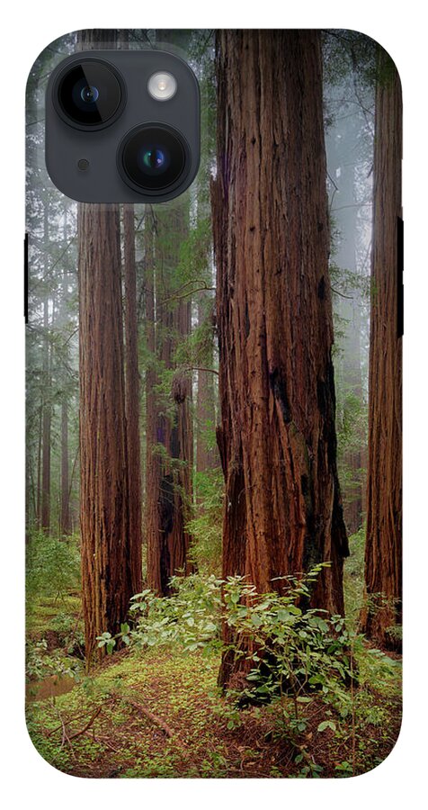 Calcis Lucem - Phone Case