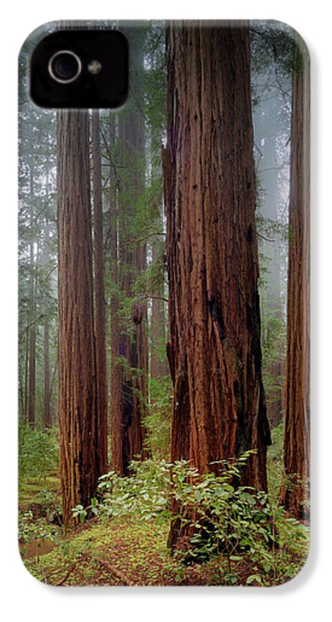 Calcis Lucem - Phone Case