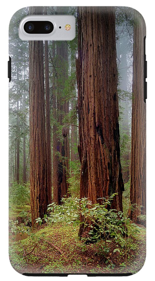 Calcis Lucem - Phone Case