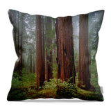 Calcis Lucem - Throw Pillow