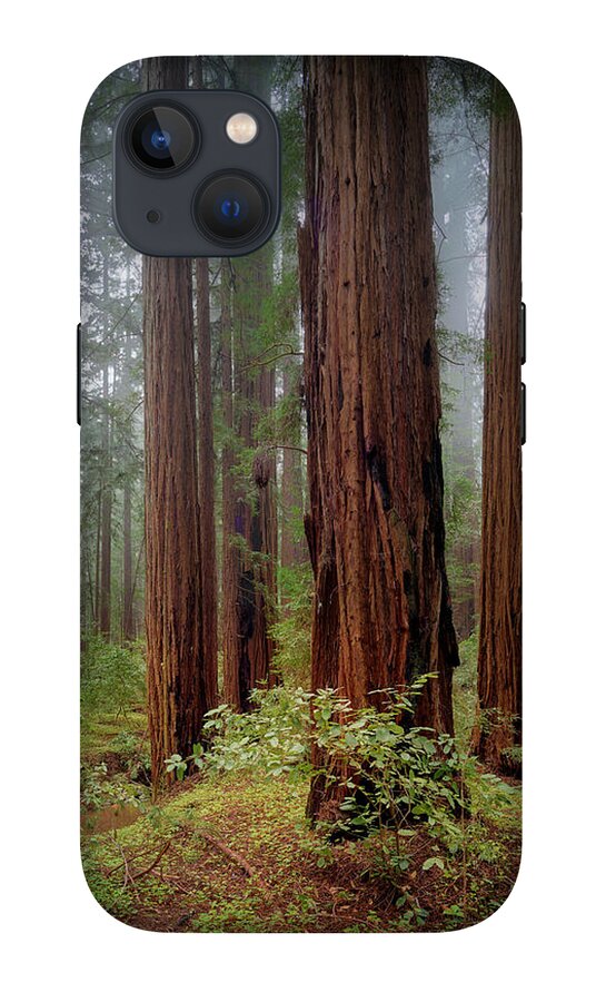 Calcis Lucem - Phone Case