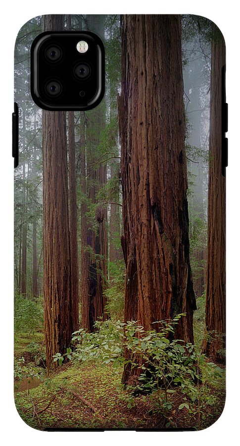 Calcis Lucem - Phone Case