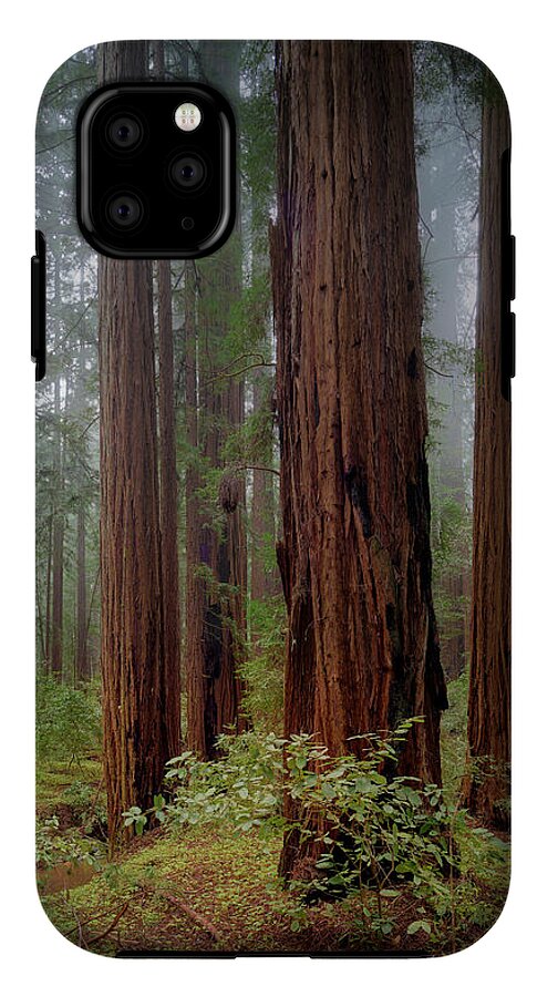 Calcis Lucem - Phone Case