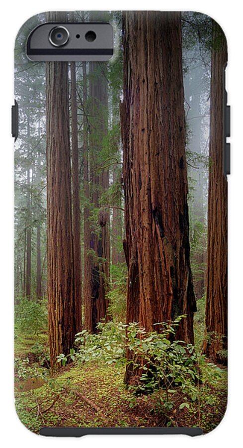 Calcis Lucem - Phone Case