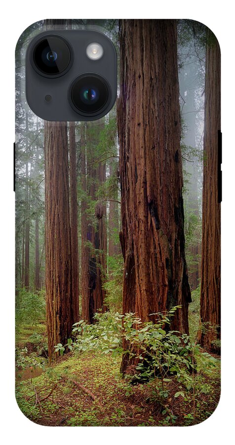 Calcis Lucem - Phone Case