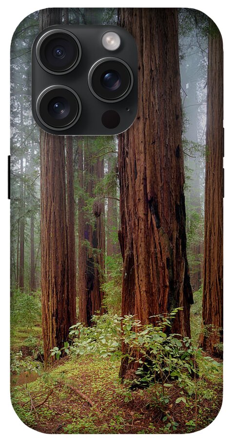 Calcis Lucem - Phone Case