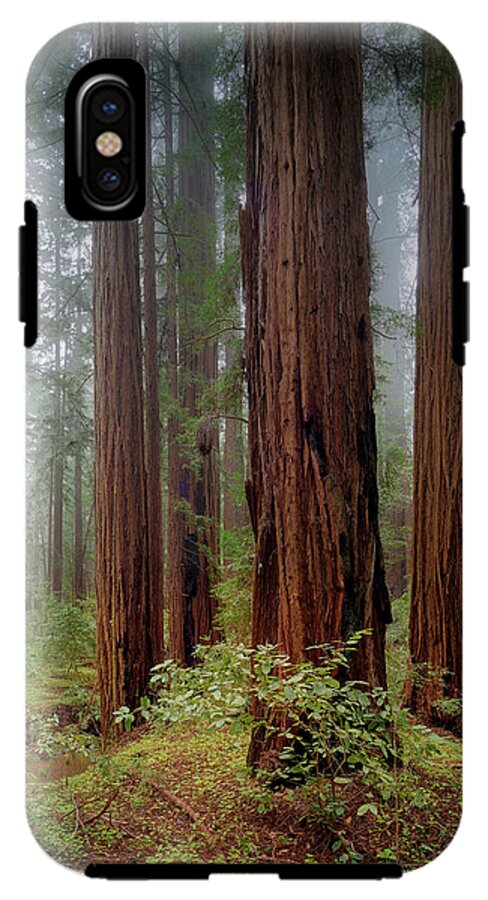 Calcis Lucem - Phone Case