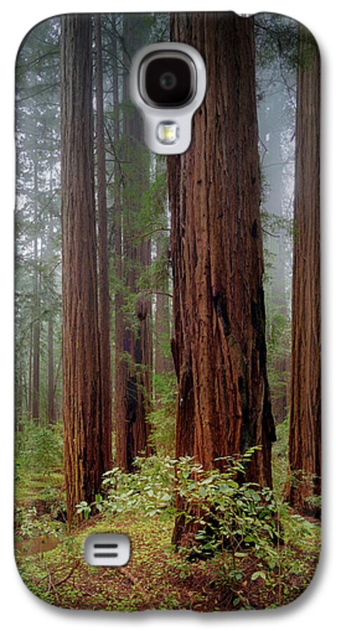 Calcis Lucem - Phone Case