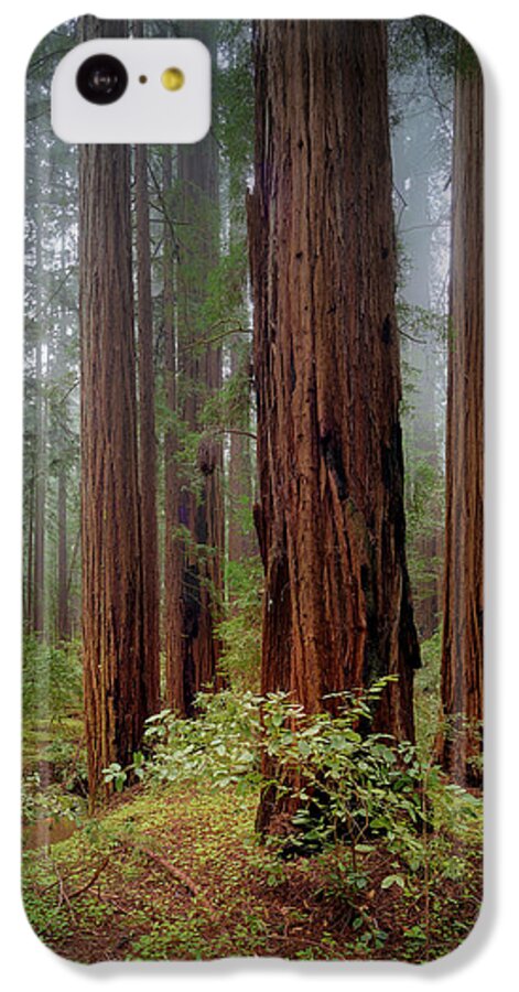 Calcis Lucem - Phone Case