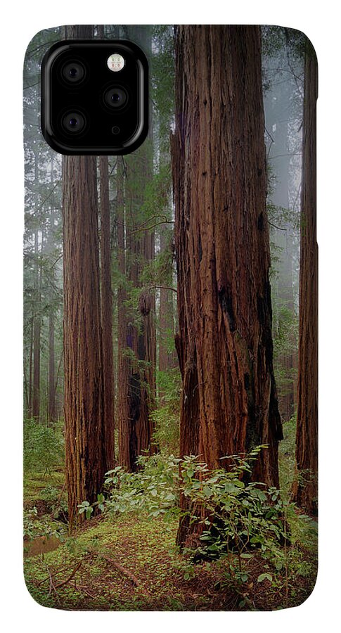 Calcis Lucem - Phone Case