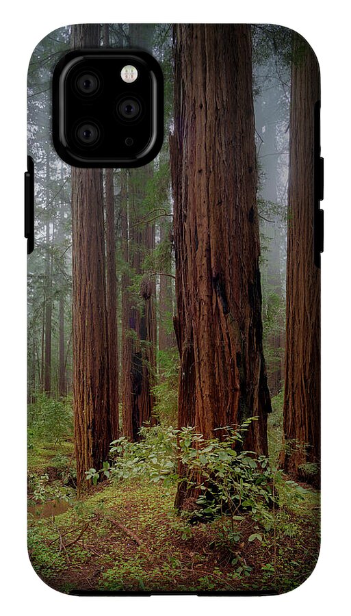Calcis Lucem - Phone Case