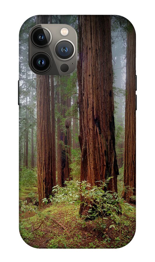 Calcis Lucem - Phone Case