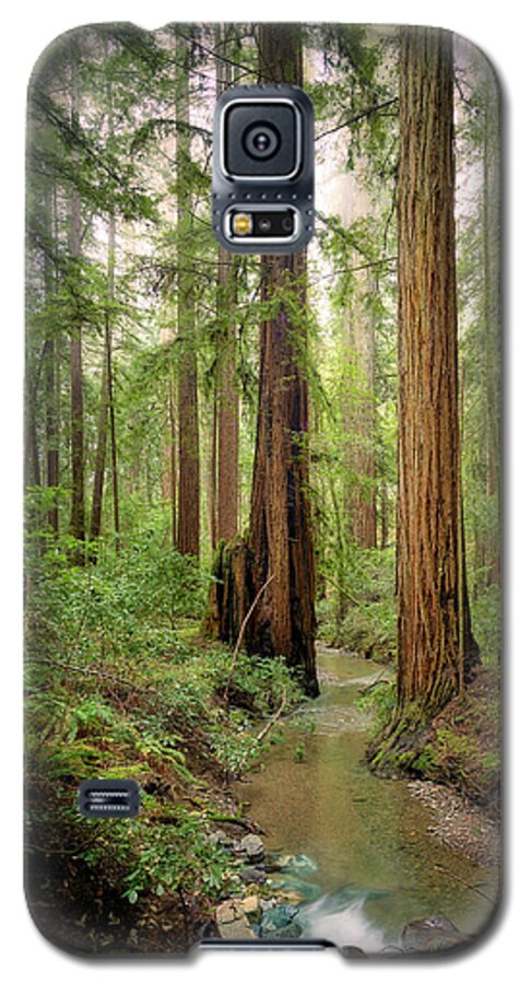 Columnas - Phone Case