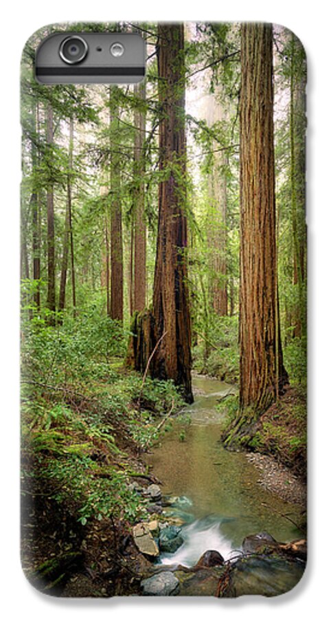 Columnas - Phone Case