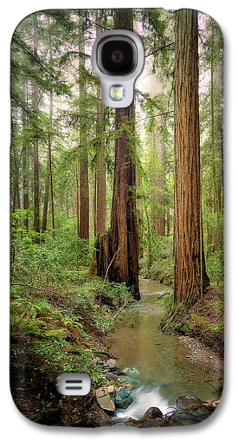 Columnas - Phone Case