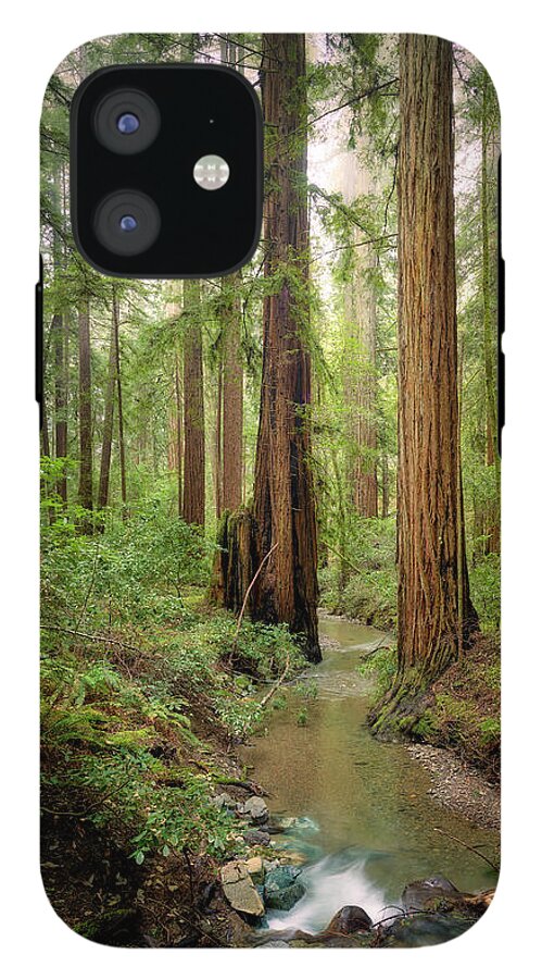 Columnas - Phone Case