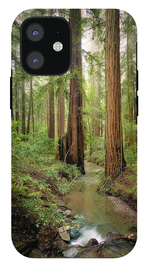 Columnas - Phone Case