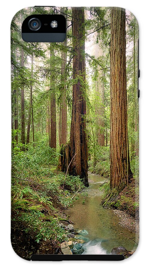 Columnas - Phone Case