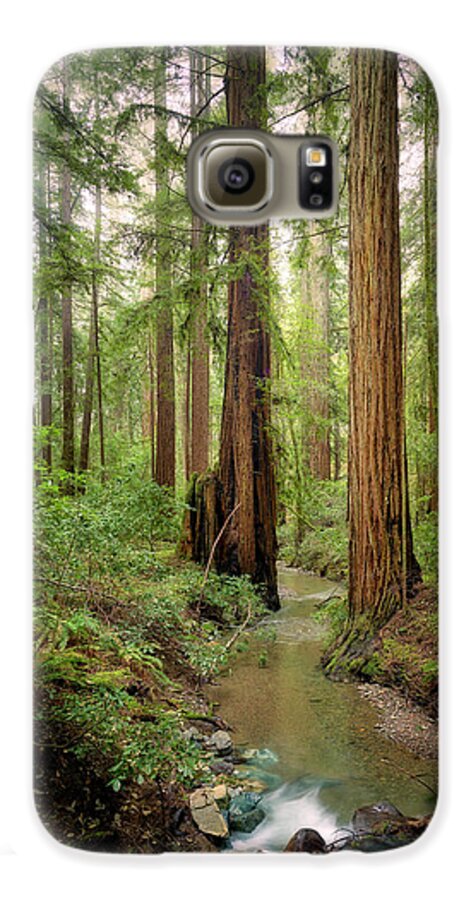 Columnas - Phone Case
