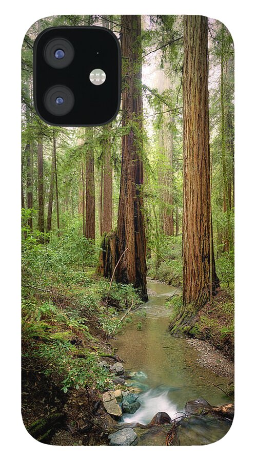 Columnas - Phone Case