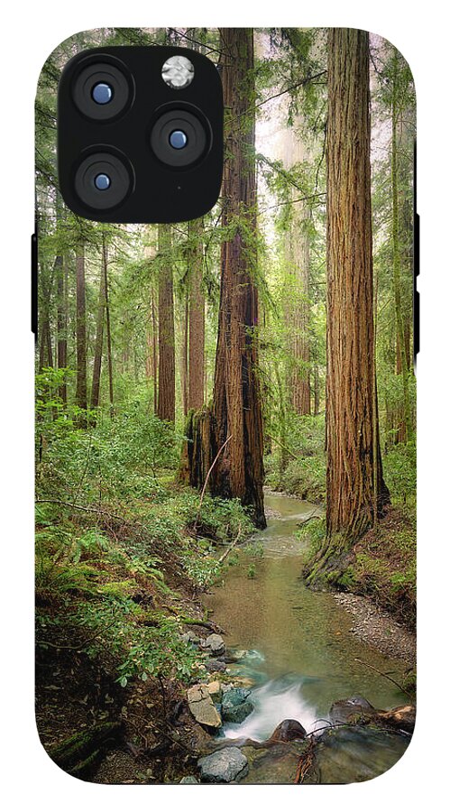 Columnas - Phone Case