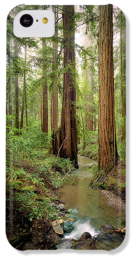 Columnas - Phone Case
