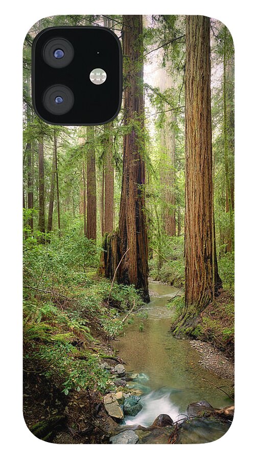 Columnas - Phone Case