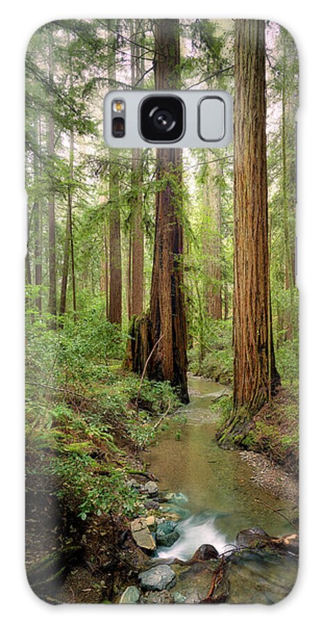 Columnas - Phone Case