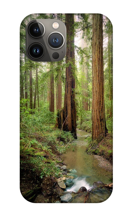Columnas - Phone Case