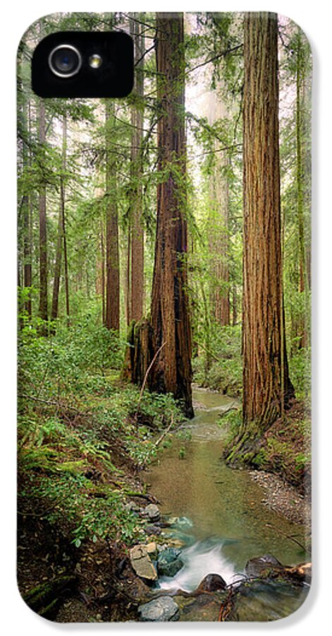 Columnas - Phone Case